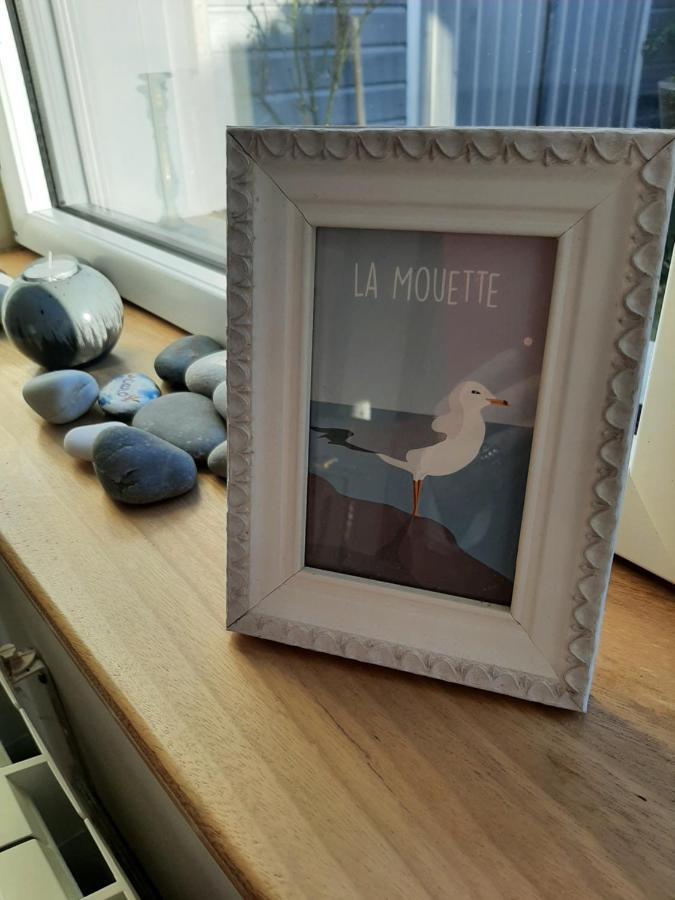 Maison Chaleureuse Bord De Mer Primelin エクステリア 写真